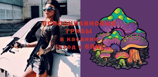 первитин Абаза