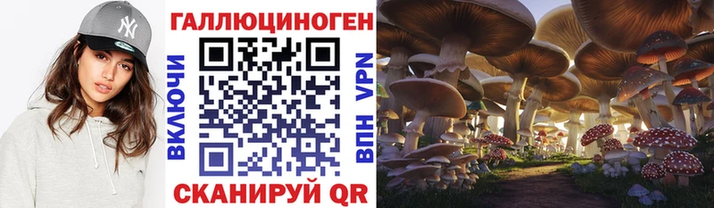 купить наркоту  Шали  гидра   Псилоцибиновые грибы мухоморы 