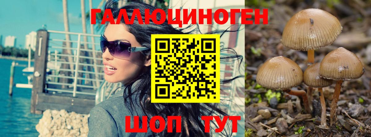 Псилоцибиновые грибы GOLDEN TEACHER  Псилоцибиновые грибы Psilocybe  Вход с VPN  Шали 