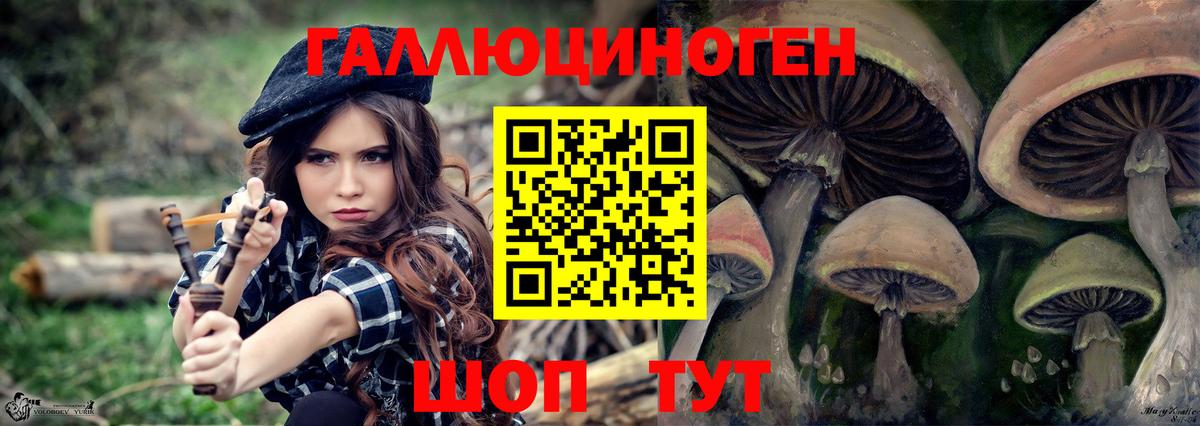 Псилоцибиновые грибы Psilocybe Шали